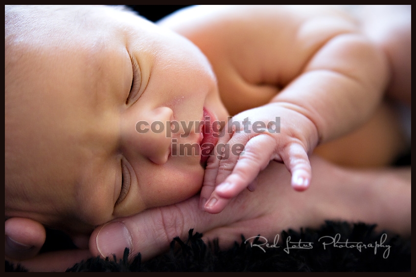 pics-of-newborn-baby