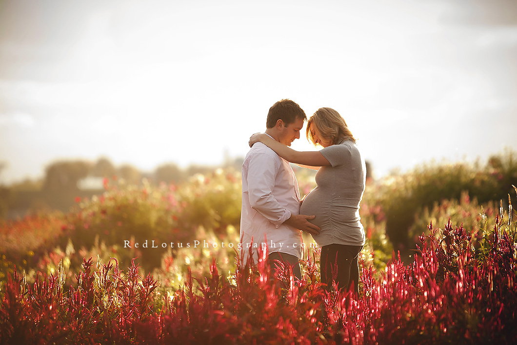 Maternity Photography Pittsburgh Anticipation » Red