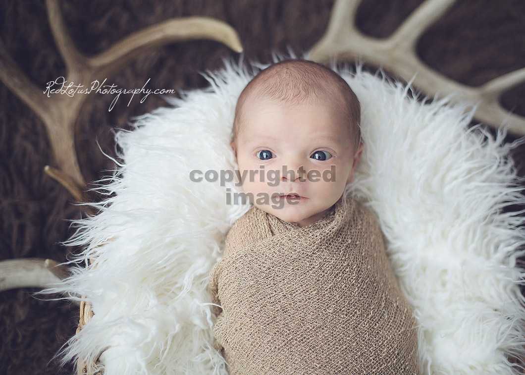 baby-photographer-pittsburgh-02