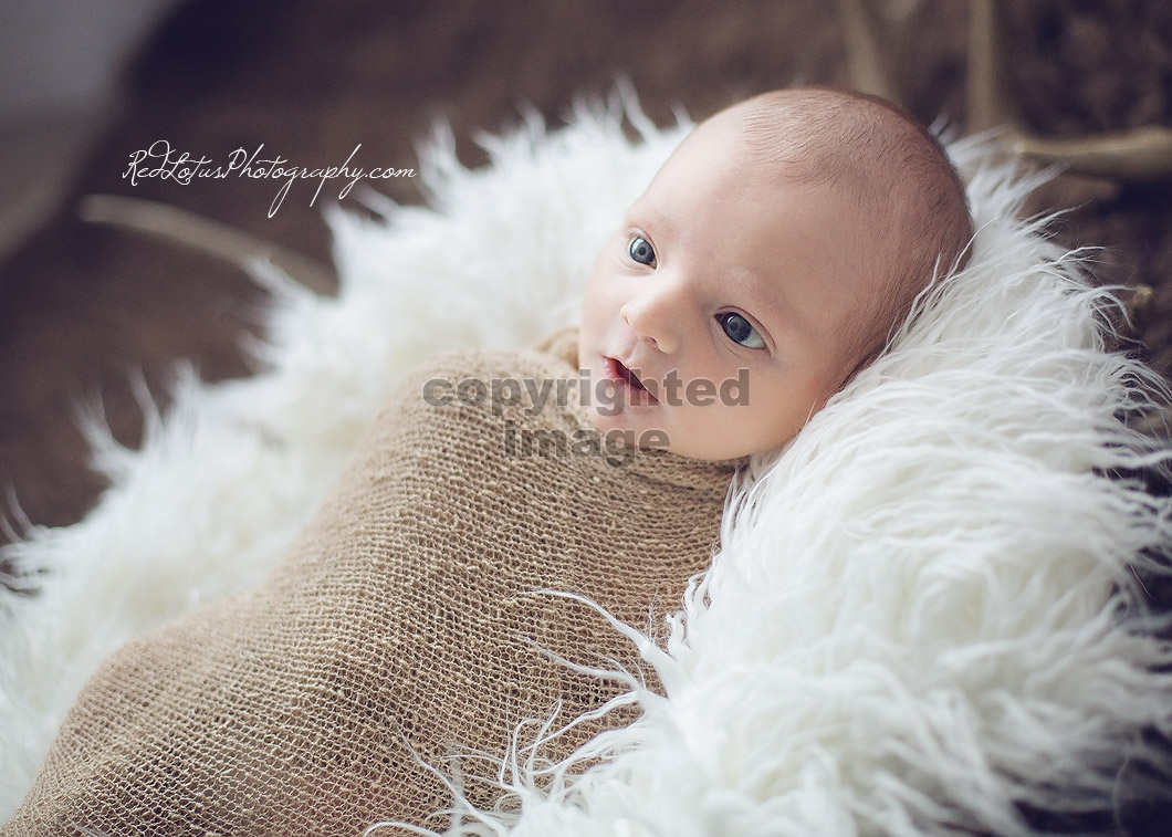 baby-photographer-pittsburgh-03