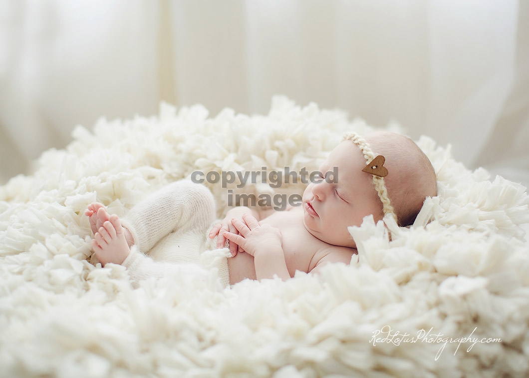 newborn-photos-pittsburgh-02