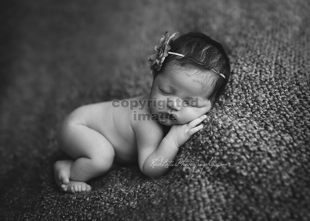newborn-photographer-01