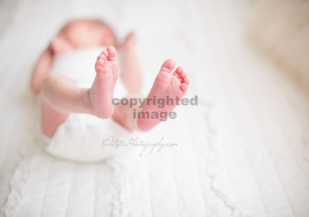 newborn-photography-pa-13