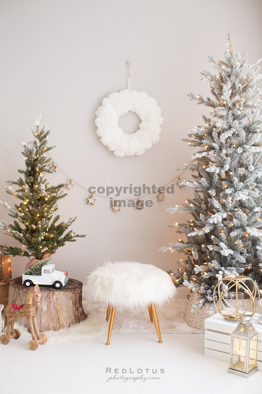 holiday photo sessions christmas minis